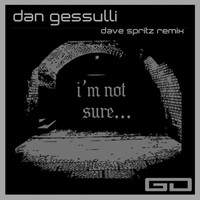 Thumbnail for the Dan Gessulli - I'm Not Sure link, provided by host site