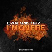 Thumbnail for the Dan Winter - I'm on Fire link, provided by host site
