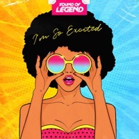 Thumbnail for the Sound Of Legend - I'm So Excited link, provided by host site