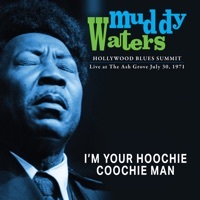 Thumbnail for the Muddy Waters - I'm Your Hoochie Coochie Man link, provided by host site