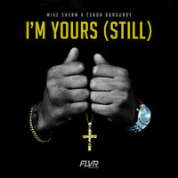 Thumbnail for the Mike Sherm - I'm Yours (Still) link, provided by host site