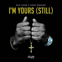 Thumbnail for the Mike Sherm - I'm Yours (Still) link, provided by host site