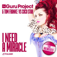 Thumbnail for the Guru Project - I Need a Miracle (The Remixes) link, provided by host site
