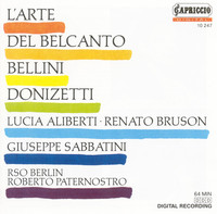 Thumbnail for the Vincenzo Bellini - I puritani: Act I: Son vergin vezzosa in vesta di sposa link, provided by host site