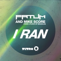 Image of Fatum linking to their artist page due to link from them being at the top of the main table on this page