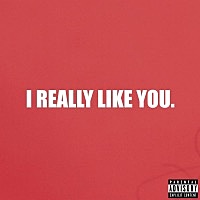 Thumbnail for the Domo Wilson - I Really Like You link, provided by host site