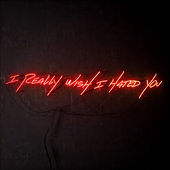 Thumbnail for the blink-182 - I Really Wish I Hated You link, provided by host site