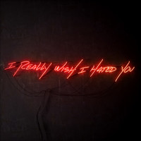 Thumbnail for the blink-182 - I Really Wish I Hated You link, provided by host site