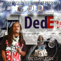 Thumbnail for the Deadly - I Rock Chucks (Remix) link, provided by host site