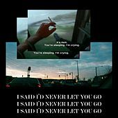 Thumbnail for the Teqkoi - I Said I'd Never Let You Go link, provided by host site