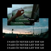 Thumbnail for the Teqkoi - I Said I'd Never Let You Go link, provided by host site