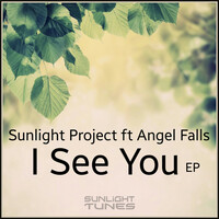 Thumbnail for the Sunlight Project - I See You link, provided by host site