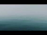 Thumbnail for the Lights & Motion - I See You - Reimagined link, provided by host site