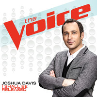 Thumbnail for the Joshua Davis - I Shall Be Released (The Voice Performance) link, provided by host site