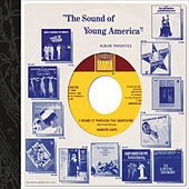 Thumbnail for the The Ones - I've Been Good To You (Single Version) link, provided by host site