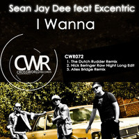 Thumbnail for the Sean Jay Dee - I Wanna link, provided by host site