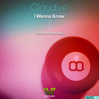 Thumbnail for the Zan Prevee - I Wanna Know - Zan Prevee Remix link, provided by host site