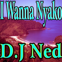 Thumbnail for the Dj Ned - I Wanna Nyako link, provided by host site