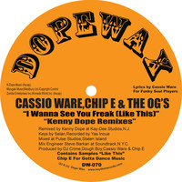 Thumbnail for the Cassio Ware - I Wanna See You Freak (Like This) link, provided by host site