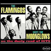 Thumbnail for the The Moonglows - I Was Wrong link, provided by host site