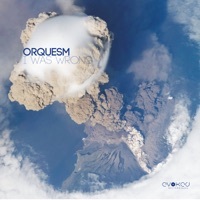 Thumbnail for the Orquesm - I Was Wrong (Aaron Lee Remix) link, provided by host site