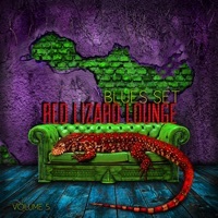 Thumbnail for the Anders Osborne - I Will Surely Do the Same Again link, provided by host site