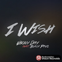 Thumbnail for the Shaun Reynolds - I Wish link, provided by host site