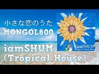 Thumbnail for the MØ - iamSHUM / 沖縄の名曲をトロピカルハウスにアレンジ！ - 02. 小さな恋のうた / MONGOL800 配信！ link, provided by host site