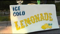Thumbnail for the Koo Koo Kanga Roo - Ice Cold Lemonade link, provided by host site