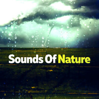 Thumbnail for the Calming Music Academy - Ice Cold Rain link, provided by host site