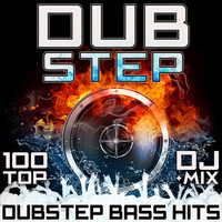 Thumbnail for the Paula - Ice Land - Melodic Vocal Dubstep Remix Edit link, provided by host site