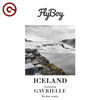 Thumbnail for the Flyboy - Iceland (Kydus Remix) link, provided by host site