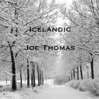 Thumbnail for the Joe Thomas - Icelandic link, provided by host site