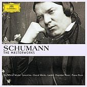 Thumbnail for the Julia Varady - Ich bin dein Baum, o Gaertner - Ich bin dein Baum, op.101, No.3 - Ich bin dein Baum, o Gaertner link, provided by host site