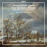 Thumbnail for the Georg Philipp Telemann - Ich hoffe darauf, TWV 1:847: Aria: Ich haffe darauf, dass du so gnadig bist link, provided by host site