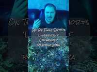 Thumbnail for the Spectrum Pulse - Ichiko Aoba - Luminescent Creatures - #albumreview link, provided by host site