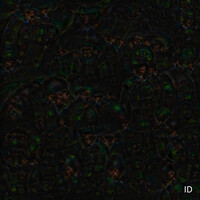 Thumbnail for the Walls - ID link, provided by host site
