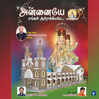 Thumbnail for the Reshmi - Idaiveda link, provided by host site