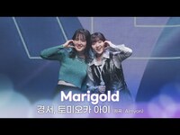Thumbnail for the Aimyon - 경서, 토미오카 아이 - Marigold (원곡 :) / IDOL RADIO LIVE in YOKOHAMA link, provided by host site