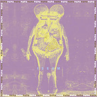 Thumbnail for the Dada - Iemand link, provided by host site