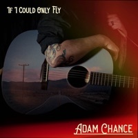 Thumbnail for the Adam Chance - If I Could Only Fly link, provided by host site