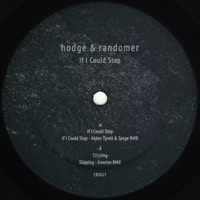 Thumbnail for the Hodge - If I Could Stop link, provided by host site
