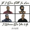 Thumbnail for the Ahmir - If I Ever Fall In Love / I Wanna Sex You Up link, provided by host site