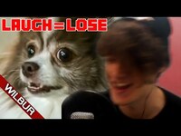 Thumbnail for the Wilbur Soot - If I Laugh I Get A Noise Complaint (YLYL) link, provided by host site