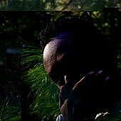 Thumbnail for the Daniel Freeman - If I'm Wrong link, provided by host site