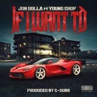 Thumbnail for the Jon Dolla - If I Want To link, provided by host site