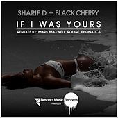 Thumbnail for the Sharif D - If I Was Yours link, provided by host site