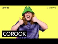 Thumbnail for the corook - "if i were a fish" Official Lyrics & Meaning | Verified link, provided by host site