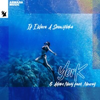 Thumbnail for the York - If I Were A Snowflake link, provided by host site