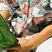 Thumbnail for the St. South - If It's Not You link, provided by host site